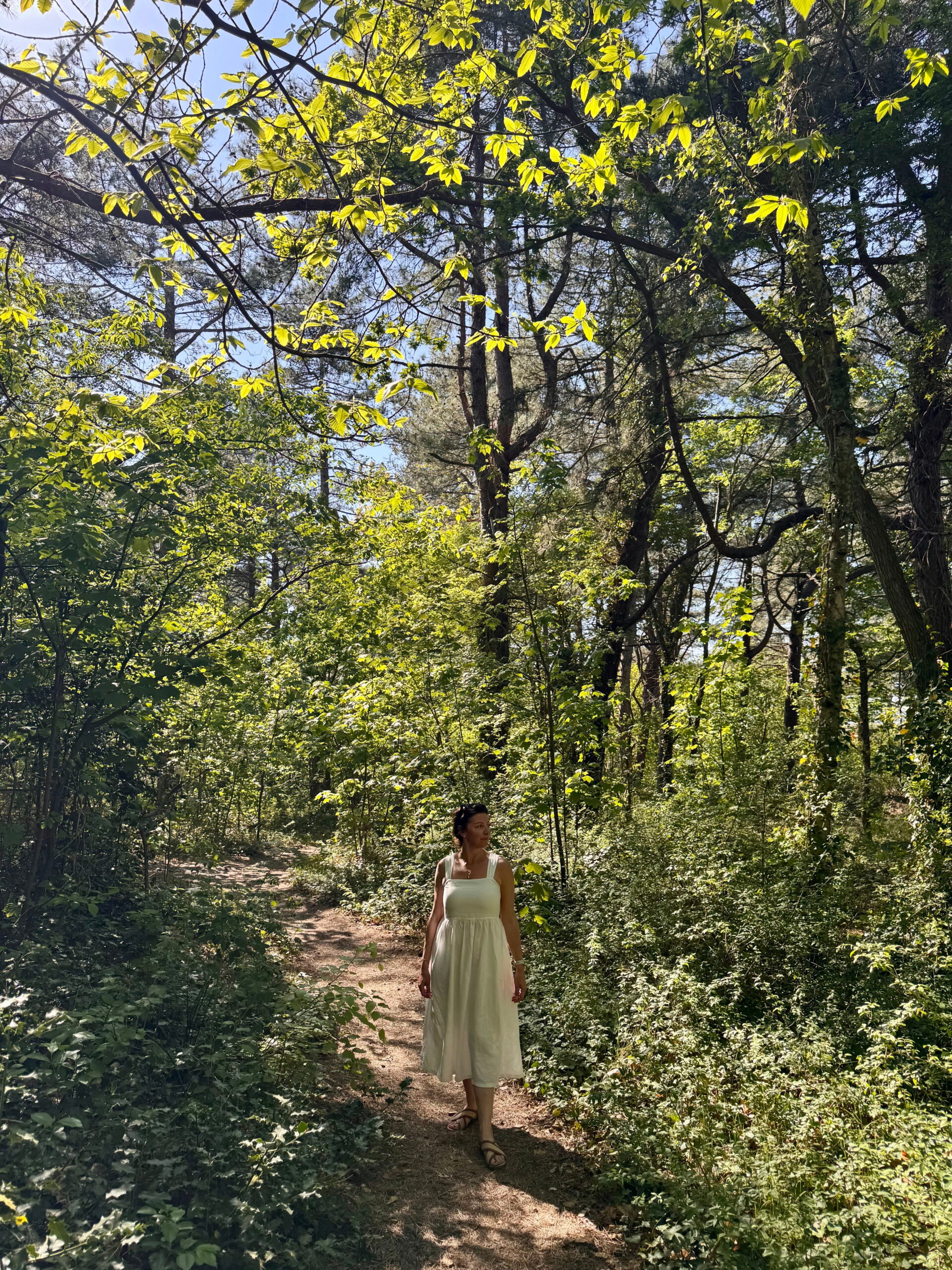 Nicola Cloherty-Parigger Coach, Facilitator Energy, Leadership and Business Nicola Cloherty-Parigger Coach, Facilitator Energy, Leadership and Business